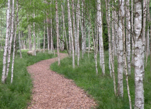 Tiit ja Jaak Käsner Tiit ja Jaak Käsner