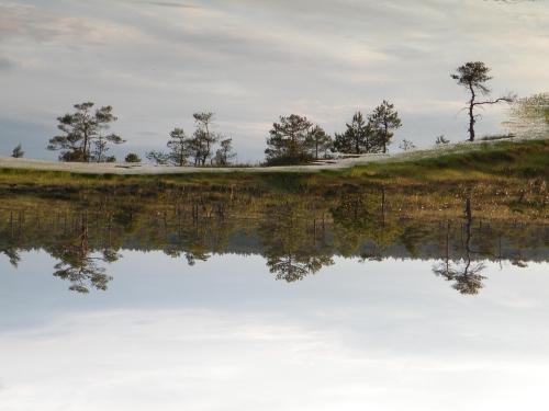 Tiiu ja Jaak Käsner Tiiu ja Jaak Käsner