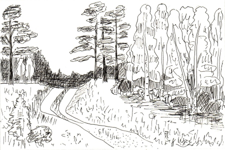 Merille Hommik Merille Hommik