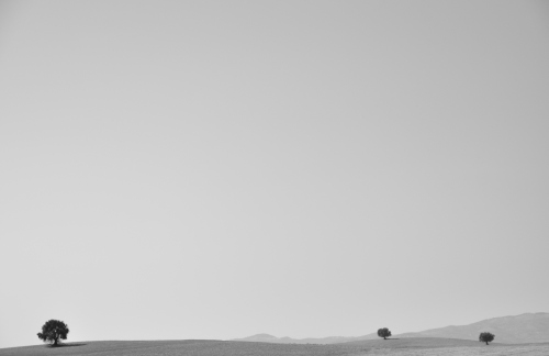 Foto on autori eelmise aasta palverännakult, teekonnal Granadast Sevillasse, mil ta kõndis viie päeva ja ööga Hispaania kõrbetes üle 250 km. Foto on autori eelmise aasta palverännakult, teekonnal Granadast Sevillasse, mil ta kõndis viie päeva ja ööga Hispaania kõrbetes üle 250 km.