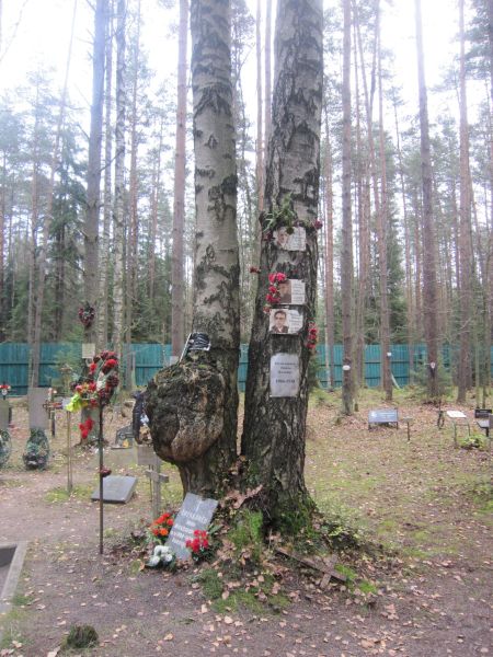 Levašovo kalmistu ühishaudades puhkavad kümnete tuhandete tapetute maised jäänused. Puudele kinnitatud mälestusplaadid meenutavad tapetuid.