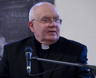 Piiskop Einar Soone, kes koordineerib ka personaliküsimusi kirikus, usaldas arengukava rakendusplaanis teemade juhtimise kiriku assessoreile. Internet