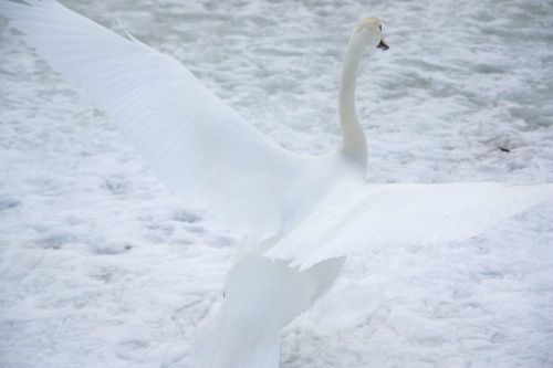 Foto: Marina Tarassova Foto: Marina Tarassova