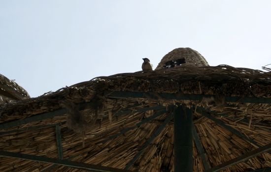 Tekst ja foto: Tiiu Hermat Tekst ja foto: Tiiu Hermat