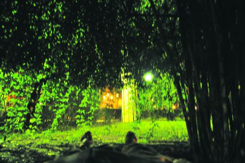 Tekst ja foto: Agnus-Dei Üprus Tekst ja foto: Agnus-Dei Üprus