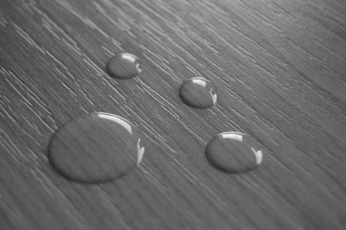 Tekst ja foto: Agnus-Dei Üprus Tekst ja foto: Agnus-Dei Üprus