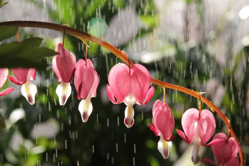 Tekst ja foto: Daisy Lappard Tekst ja foto: Daisy Lappard