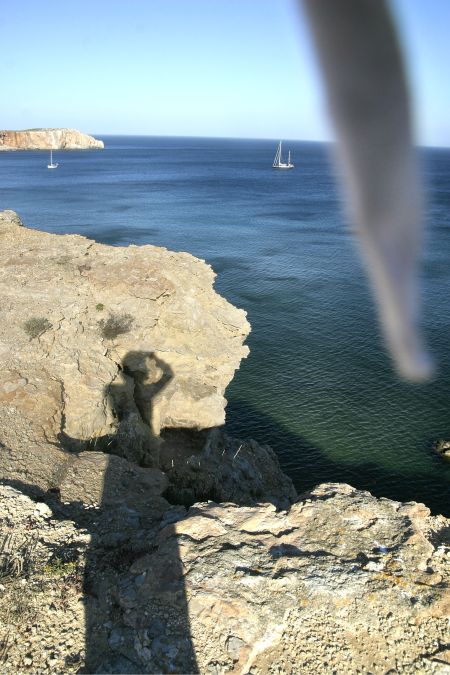 Tekst ja foto: Daisy Lappard Tekst ja foto: Daisy Lappard