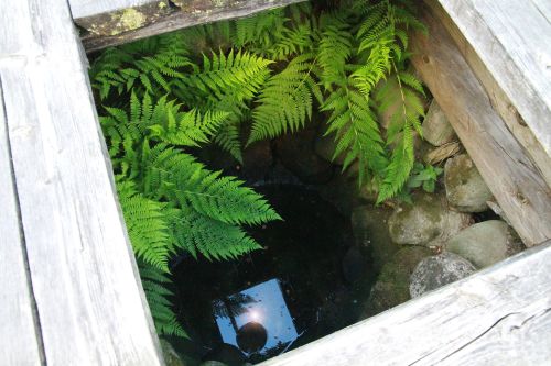 Foto: Daisy Lappard Foto: Daisy Lappard